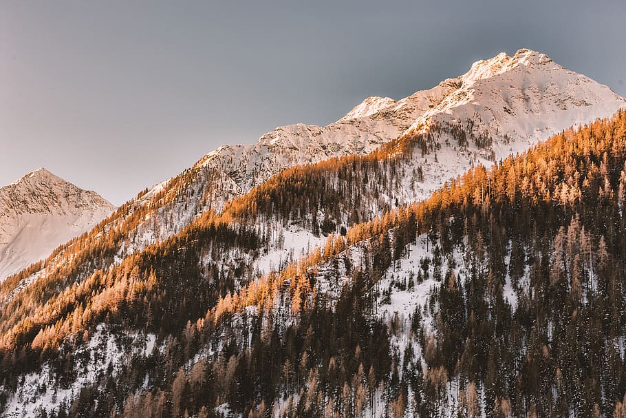 Snowy Mountain, alps, cold, daylight, forest, frost, ice, landscape HD wallpaper