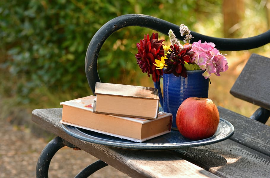 2 Books on Top of Each Other Beside Red Apple Fruit, bench, flora HD wallpaper