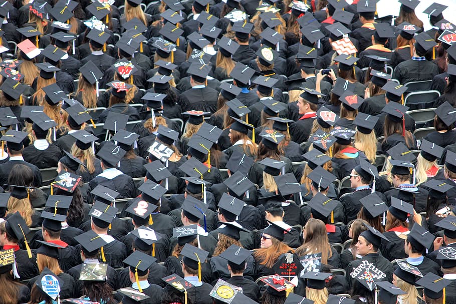 aerial view of graduates wearing hats, graduation, crowd, person