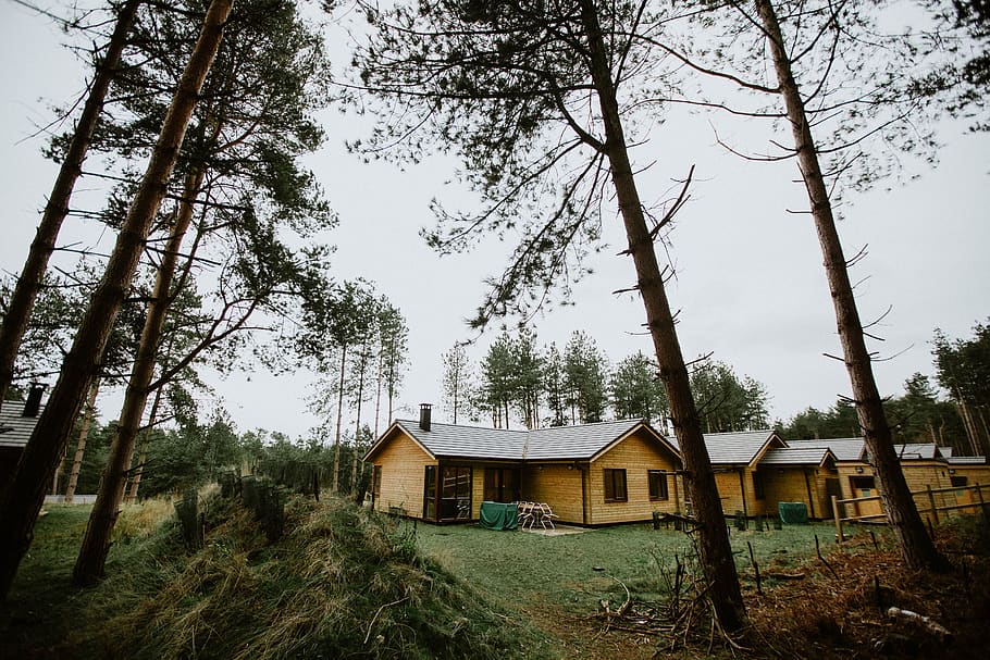 beige cabin in forest, housing, building, cottage, house, outdoors HD wallpaper