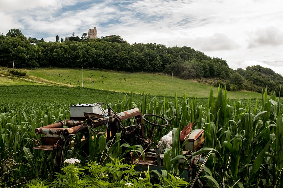 tractor, broken, rust, green, fields, leaves, trees, landscape HD wallpaper