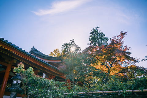 Hd Wallpaper Japan Nara Shi 春日大社本殿 バス停 Kasuga Taisha Wallpaper Flare