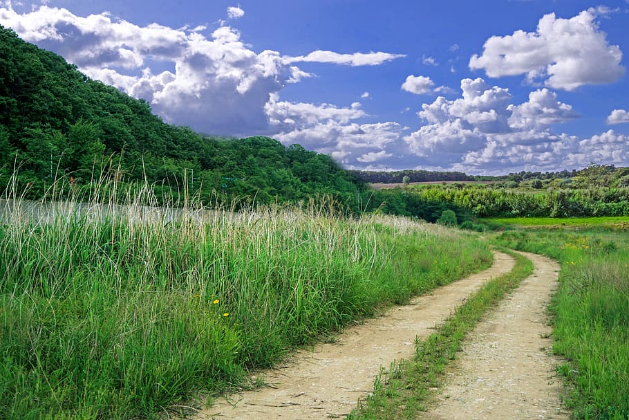 country road, the way landscape, cloud, nature, gil, republic of korea, HD wallpaper