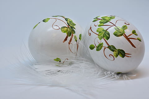 easter, egg, easter eggs, painted, feather, fragility, holiday HD wallpaper