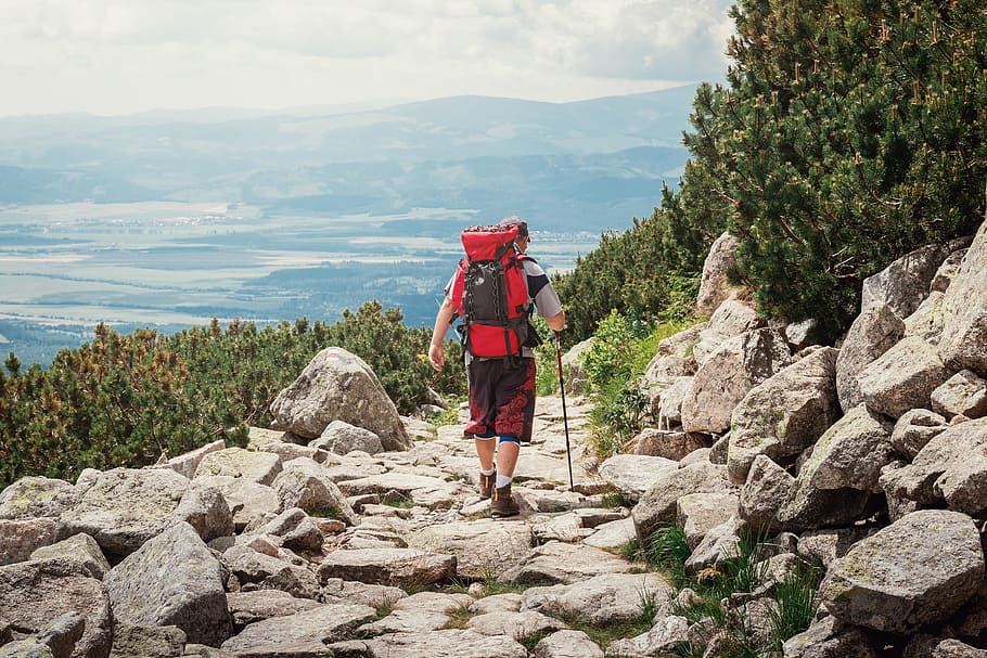 Traveler Man with backpack. Mountains landscape on background.