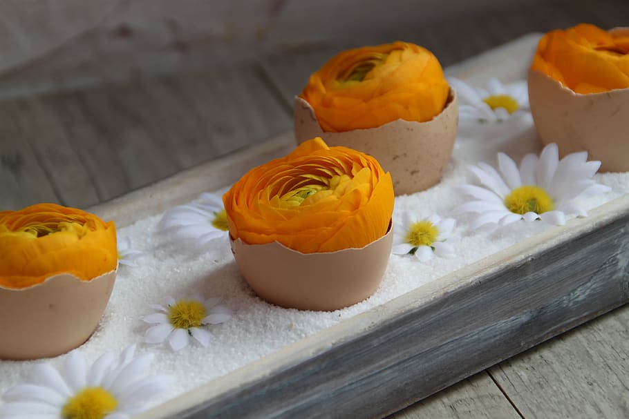 floral composition, easter, buttercup, spring, orange, bouquet HD wallpaper