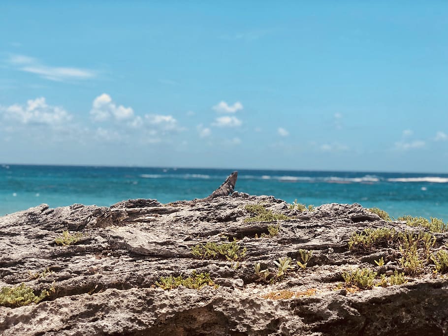mexico, unnamed road, sea, water, sky, scenics - nature, beauty in nature HD wallpaper