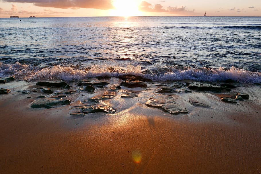 seashore, beach, barbados, waves, tropical, relaxation, idyllic HD wallpaper