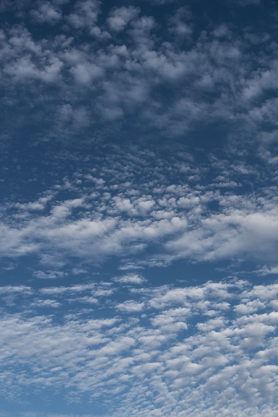 clouds, white, blue, fluffy, cirrocumulus, delicate, weather HD wallpaper