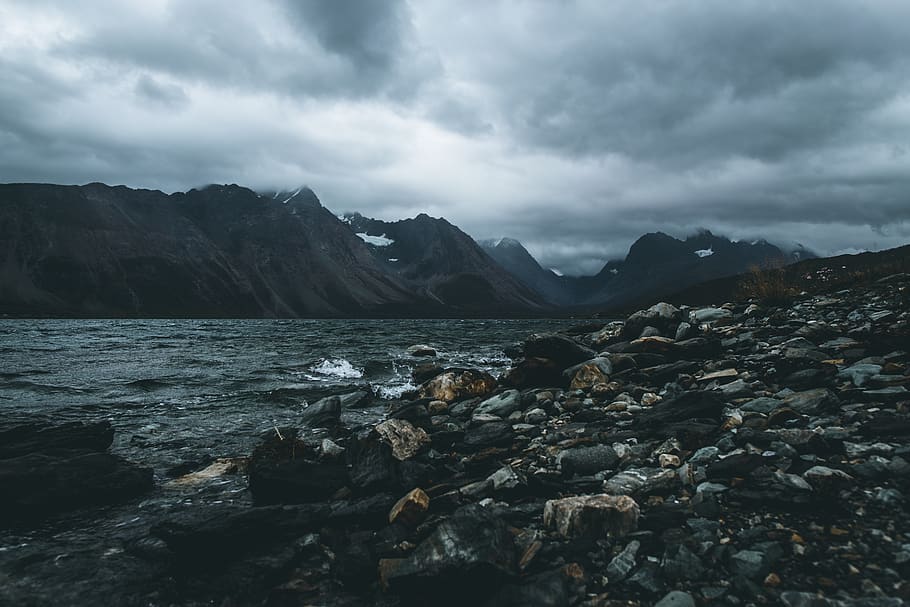 nature, outdoors, mountain, mountain range, reptile, animal HD wallpaper