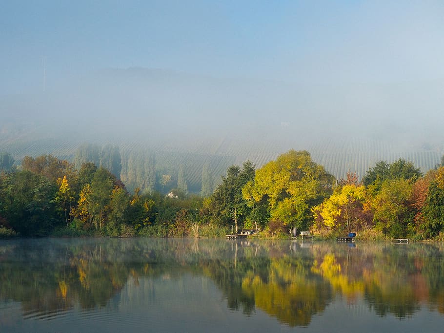 lake surround by trees, reflection, autumn, water, plant, scenics - nature HD wallpaper
