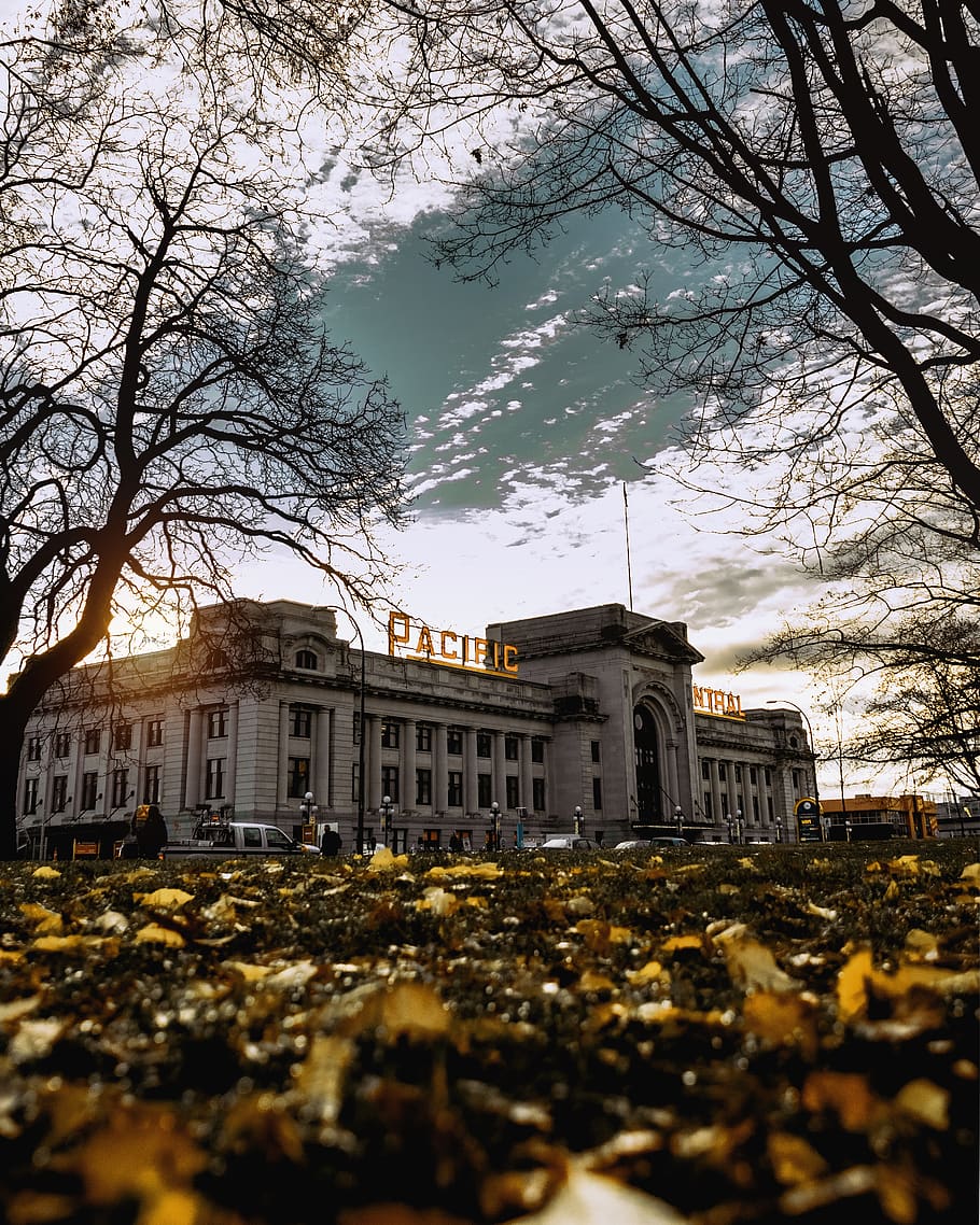 canada, vancouver, grass, sunshine, morning, building, trees HD wallpaper