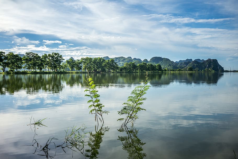 river, trees, sky, clouds, water, reflection, blue, green, clearly HD wallpaper