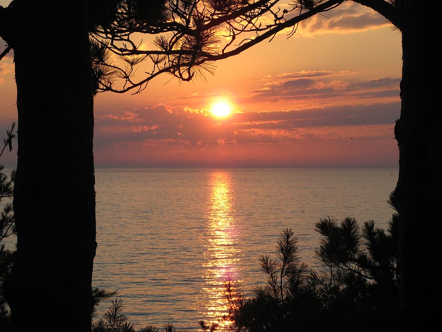 sunset, evening, tree, sky, water, scenics - nature, beauty in nature HD wallpaper