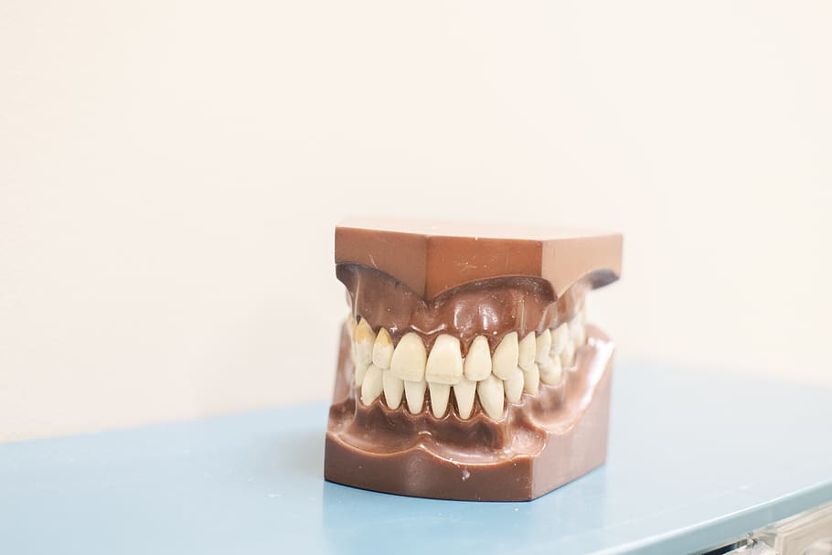 teeth denture on top of blue shelf, fudge, chocolate, dessert