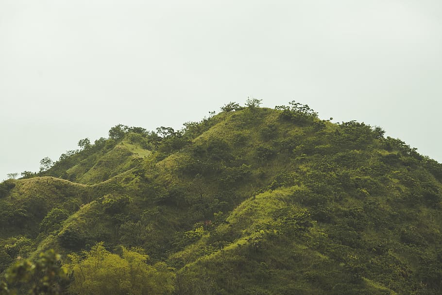 green mountain during daytime, tree, plant, green color, sky HD wallpaper