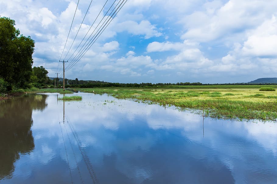reflection, flooding, rice field, skyline, pole, cloud - sky HD wallpaper