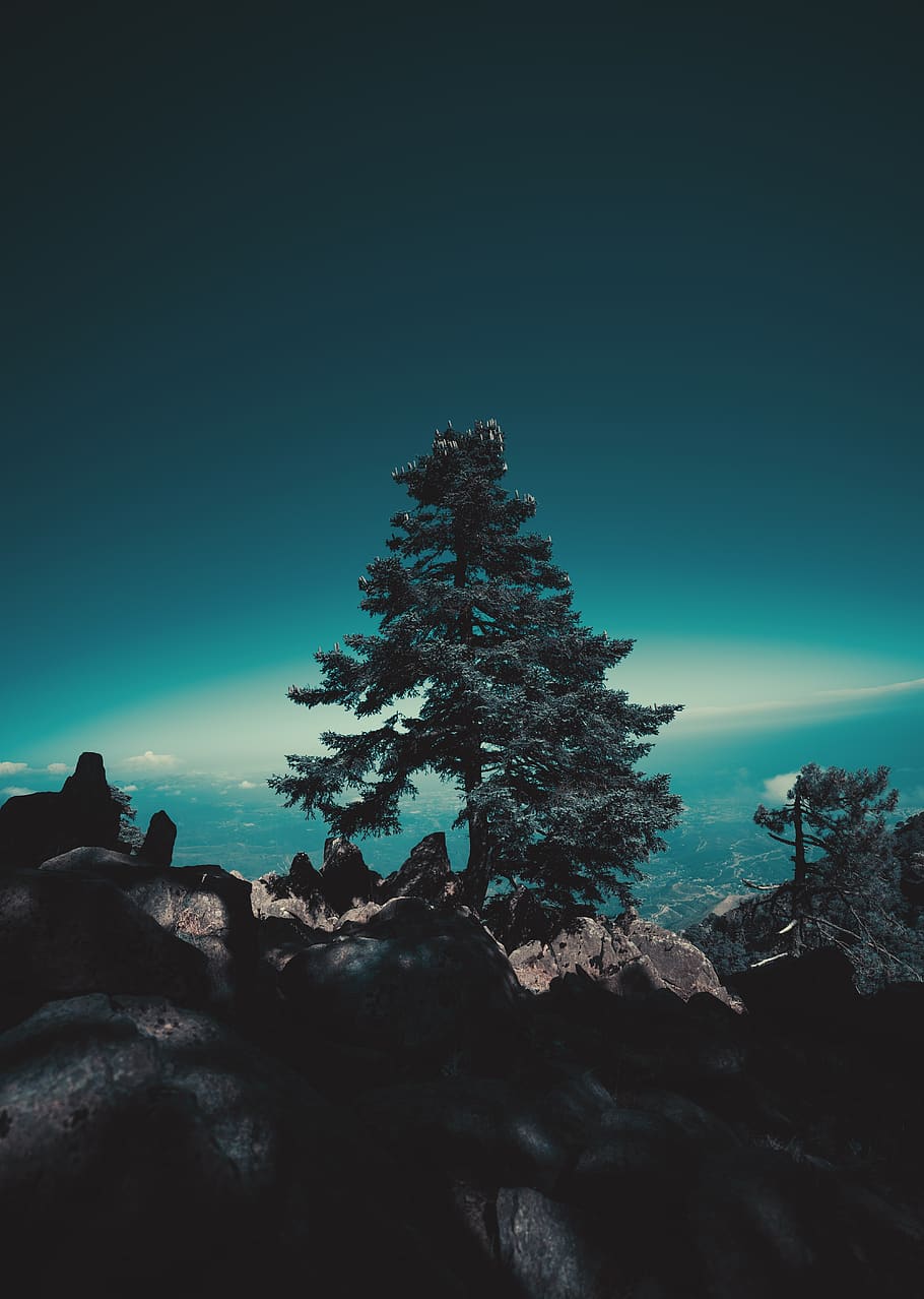 tree, blue, retro, sky, trees, clouds, cold, nature, hill, romantic HD wallpaper