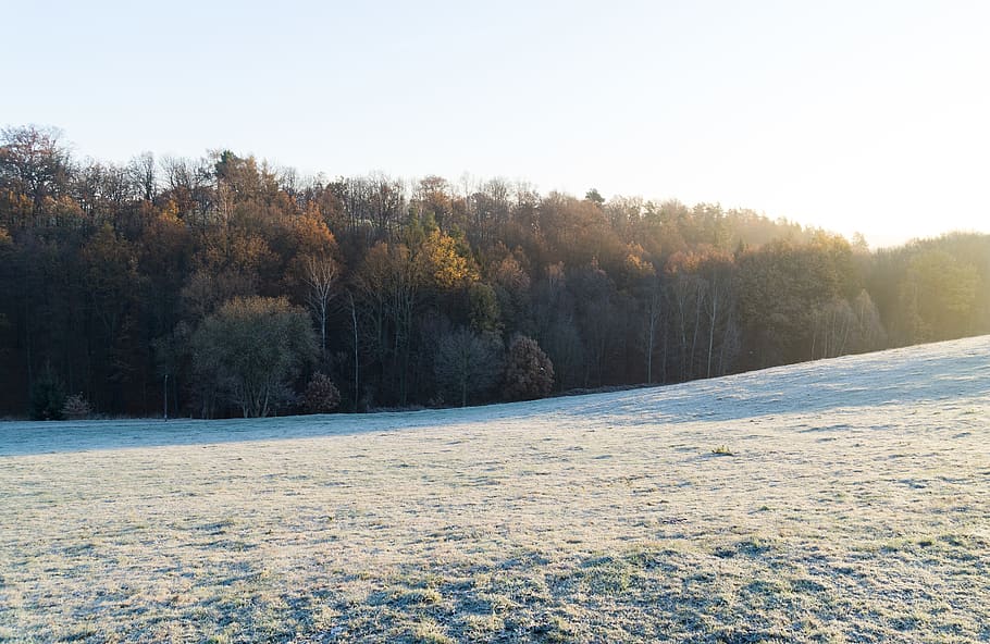 empty field covered with snow at daytime, nature, ice, outdoors HD wallpaper