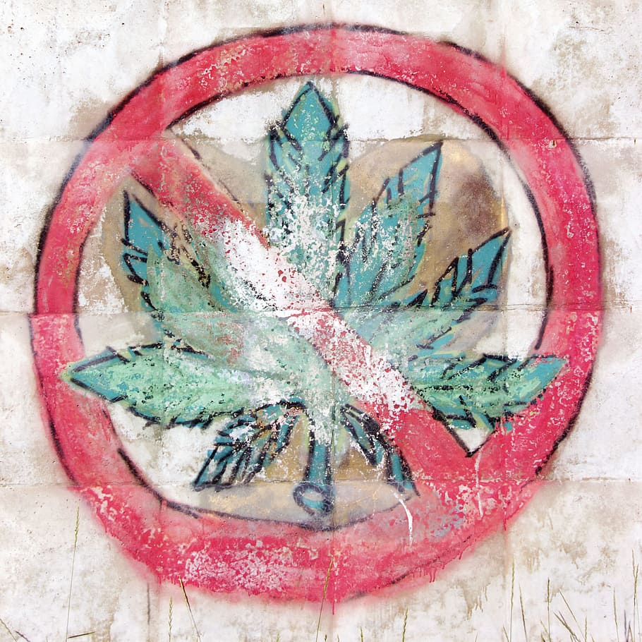 marijuana, not, green, medical, pot, drug, sign, leaf, narcotic, HD wallpaper