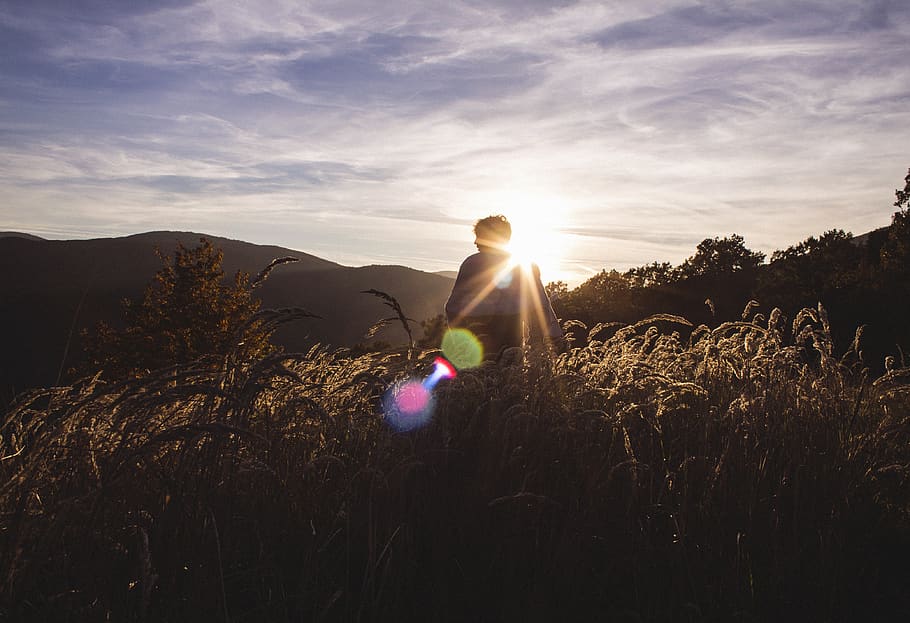 forest, trip, sunset, one person, sky, real people, sunlight HD wallpaper