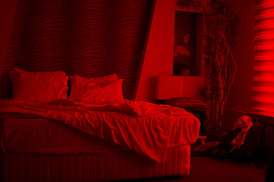 empty white bed inside room, red, furniture, domestic room, bedroom