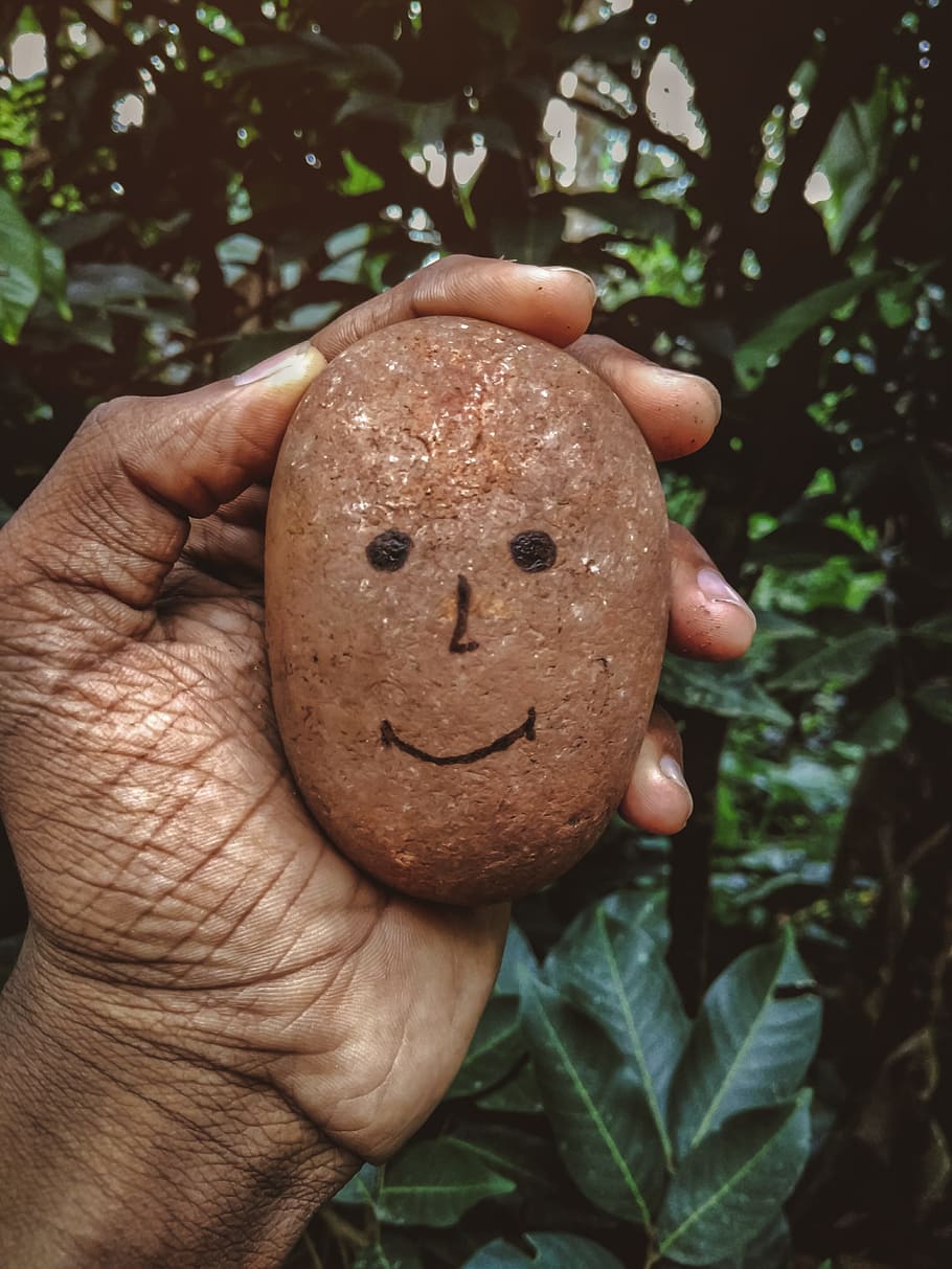 Person Holding Brown Stone, colors, environment, eyes, hand, leaves HD wallpaper