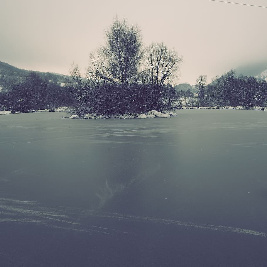 france, isere, tree, plant, sky, water, tranquility, winter HD wallpaper