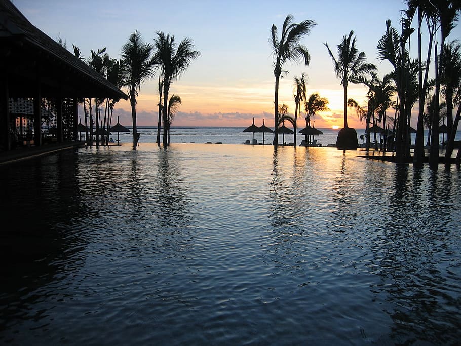 resort, sunset, nature, evening, pool, swimming, water, tree HD wallpaper