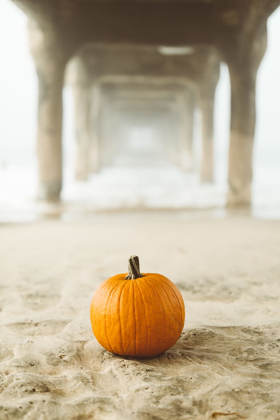 orange pumpkin on surface, sand, beach, ocean, la, manhattan beach, HD wallpaper