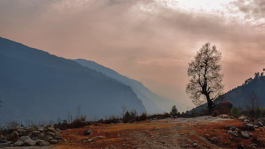 india, manali, autumn, trees, colours, landscape, mountains HD wallpaper