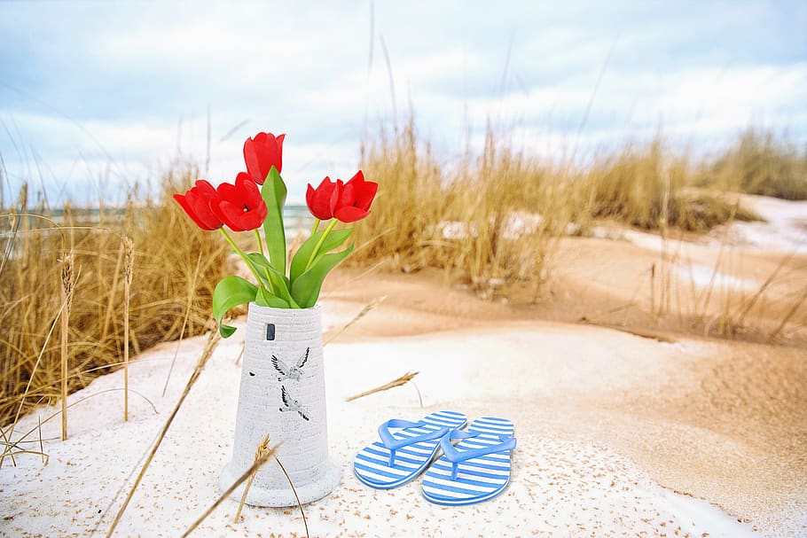 sand, beach, flip flops, vase, flowers, tulips, seaside, seashore HD wallpaper