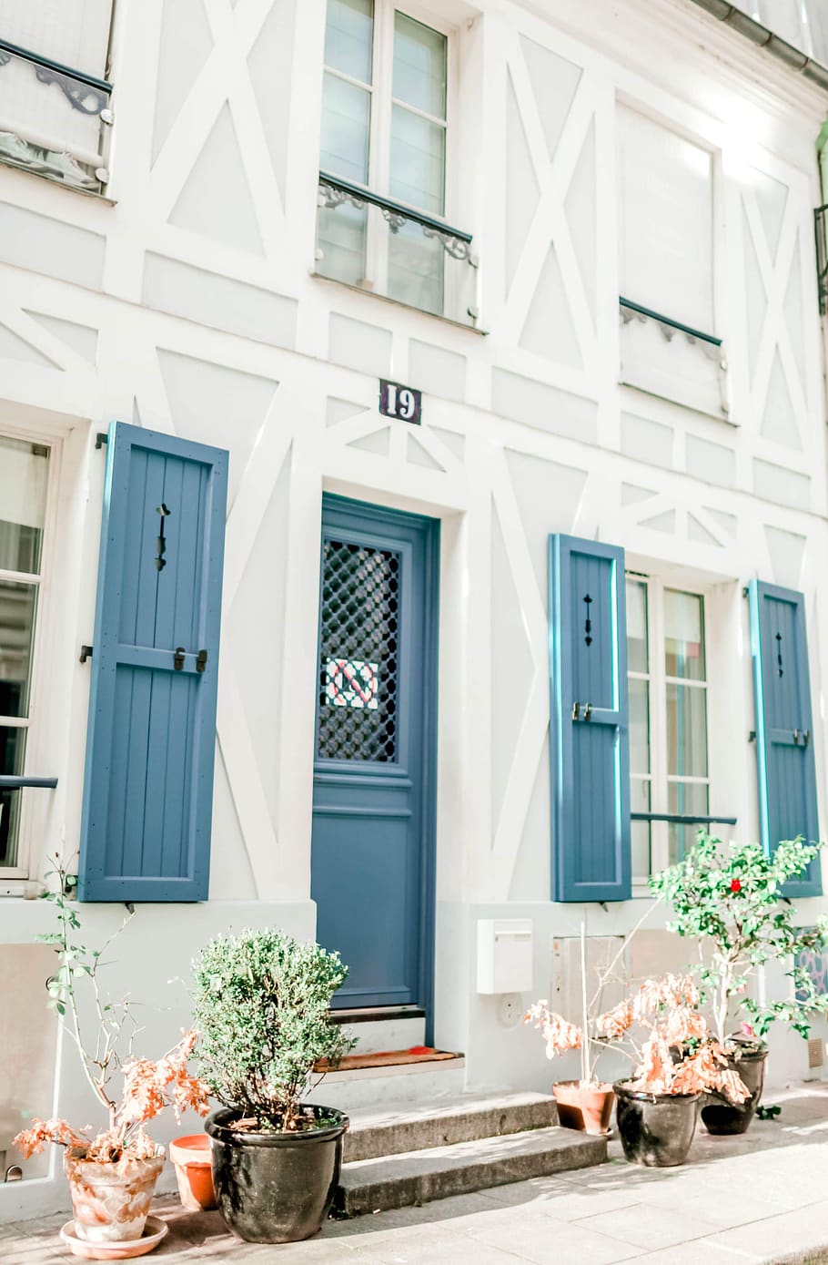 Photo of Plants in Front of House, architecture, daylight, door HD wallpaper
