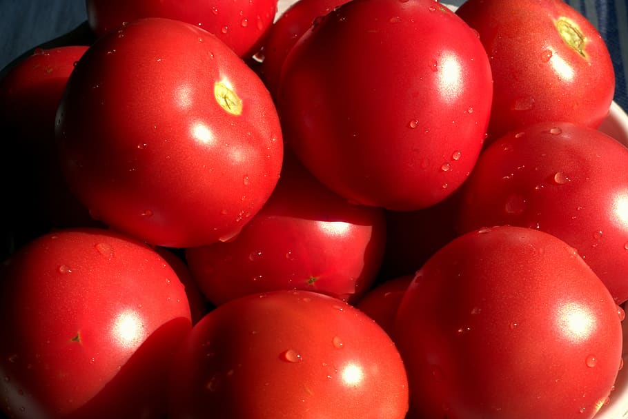 Full Frame Shot of Red Tomatoes, blur, close-up, delicious, dewdrops HD wallpaper