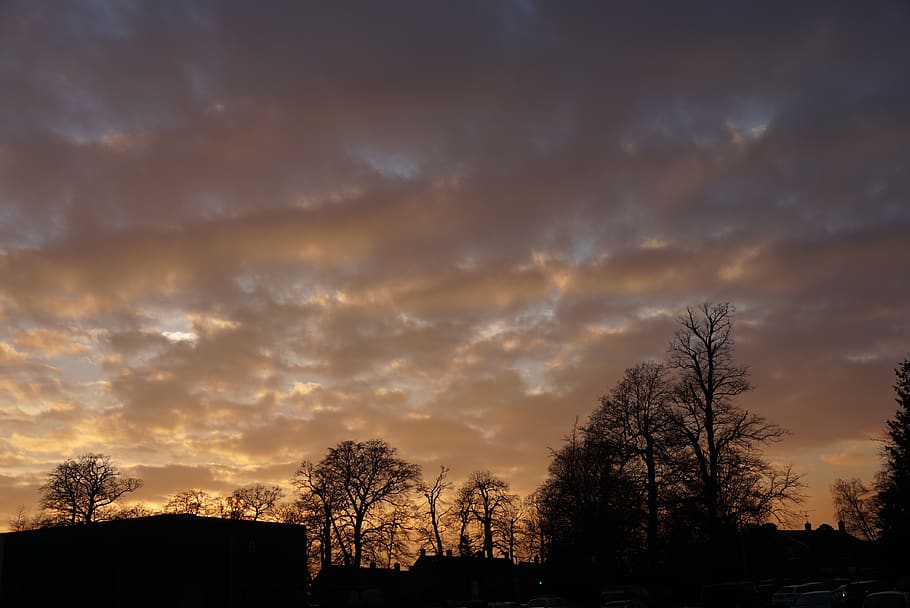 bare trees during nighttime, nature, outdoors, sky, dusk, sunset HD wallpaper