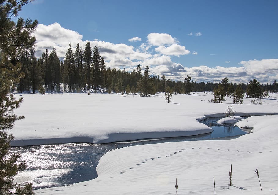 landscape, snow, scenic, stream, water, winter, cold, trees HD wallpaper