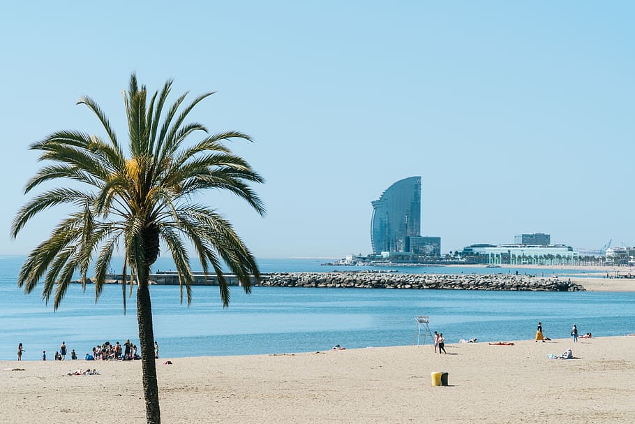spain, barcelona, barcelona beach, people, no clouds, beaches, HD wallpaper
