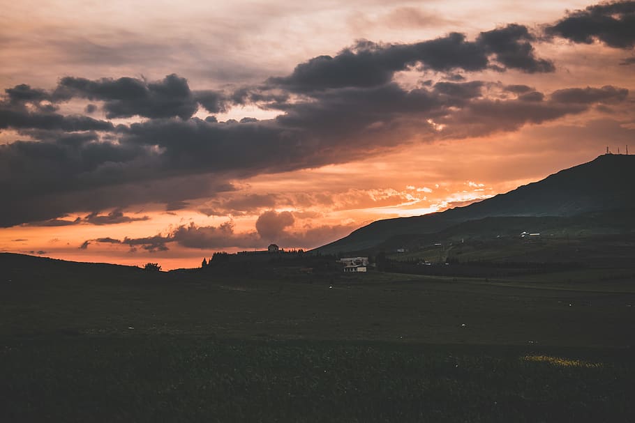 clouds, sky, sunset, orange, golden sky, golden hour, flowers HD wallpaper