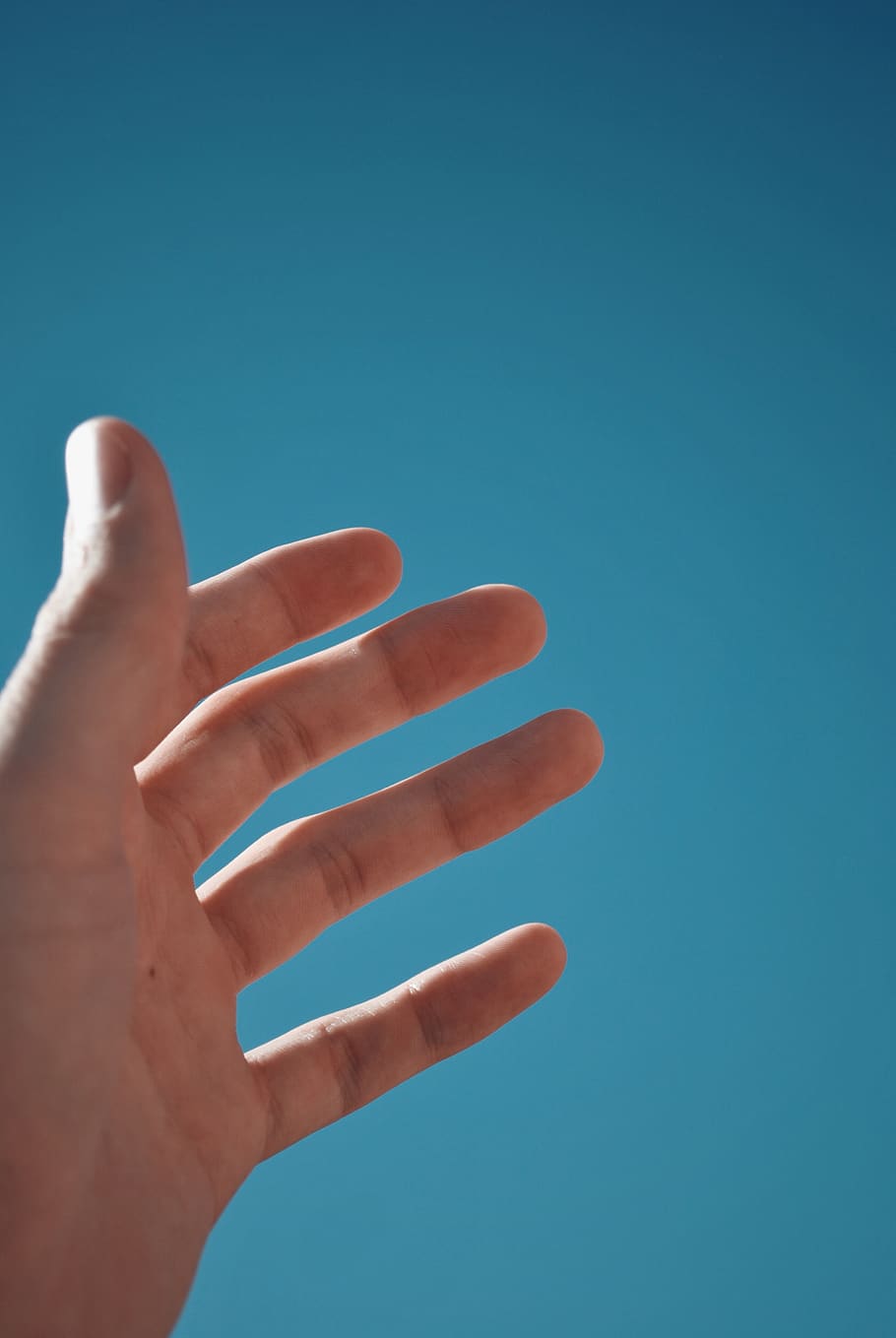 human hand, human body part, blue, one person, human finger HD wallpaper
