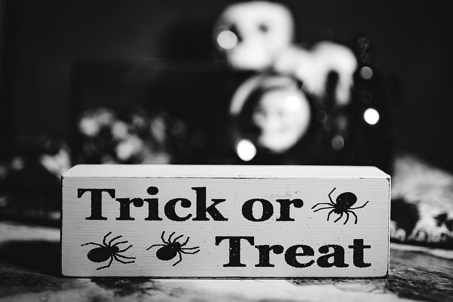 Halloween Decorations, moody, autumn, fall, spooky, boo, scary HD wallpaper