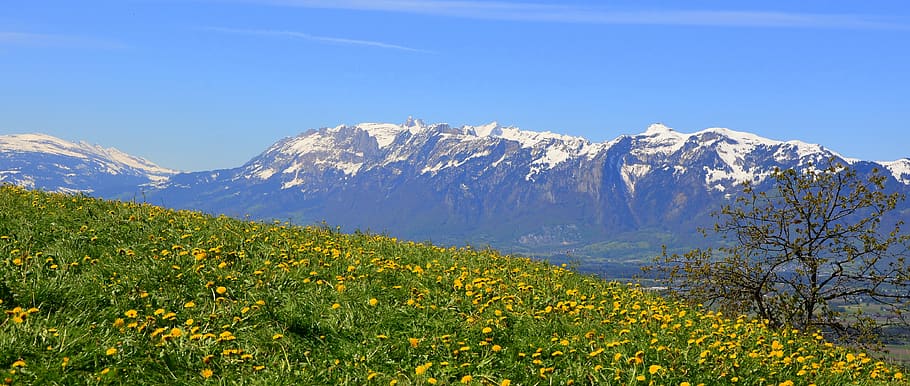 spring, mountains, sky, grass, meadow, mountain range, scenics - nature HD wallpaper