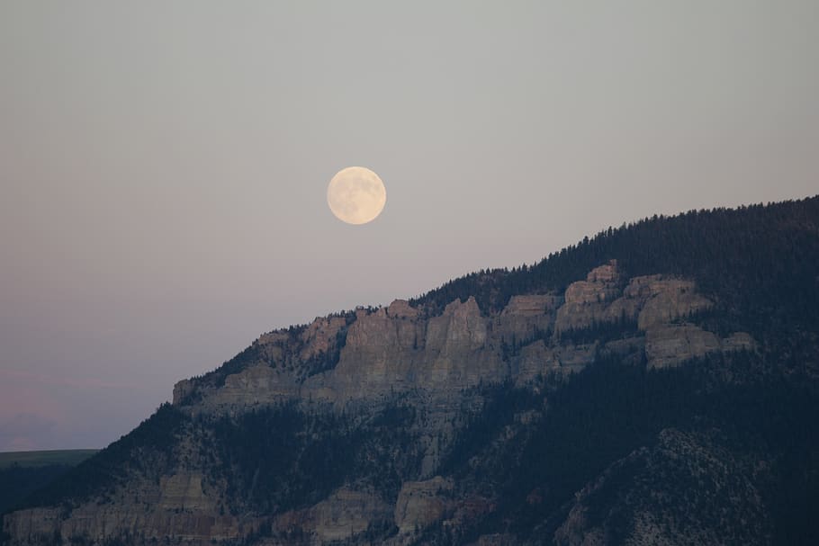 gray mountain under round moon, usa, moonrise, forest, yellowstonenationalpark HD wallpaper