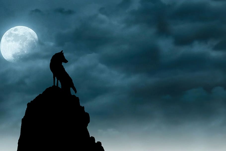 Silhouette of wolf on top of peak, beneath moon and clouds., wolves