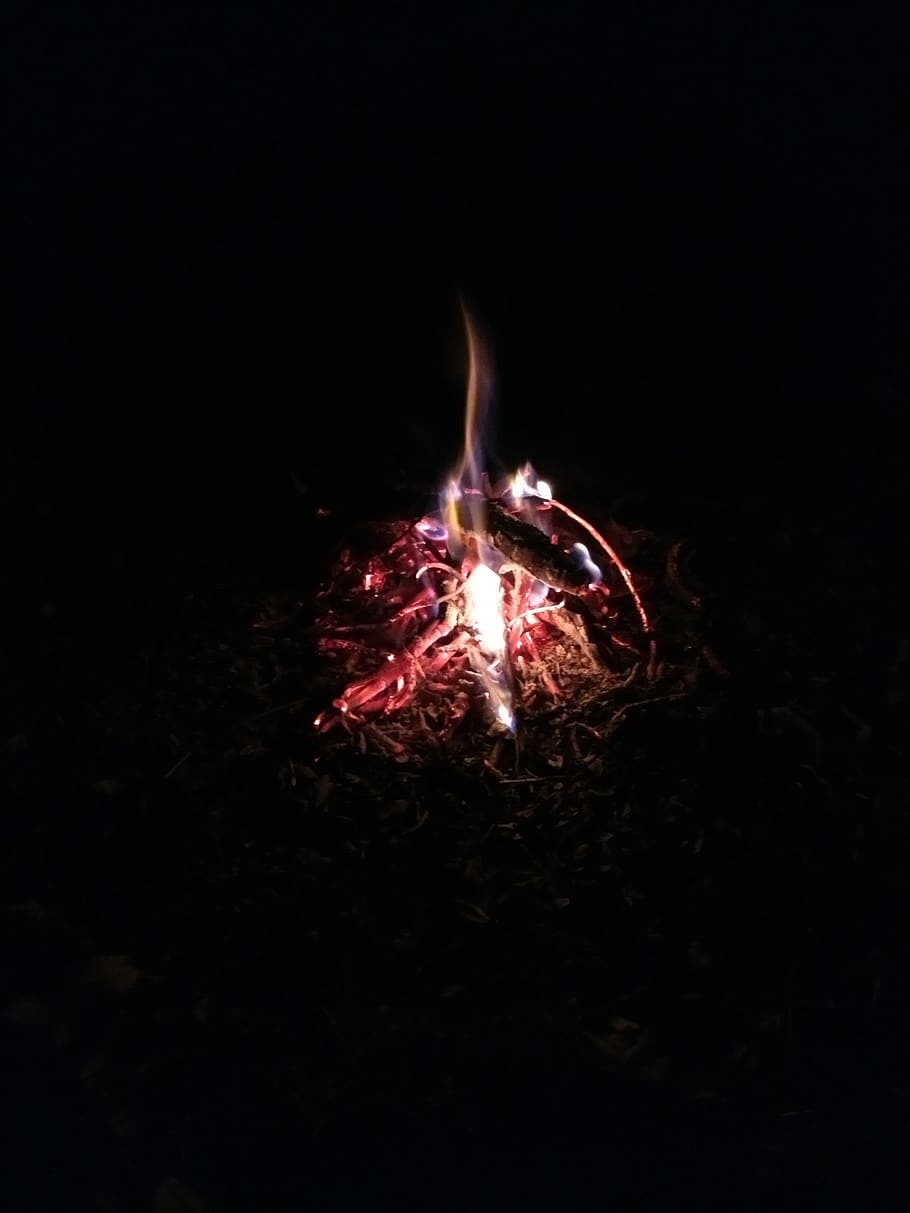 fire, campfire, night, no people, burning, black background HD wallpaper