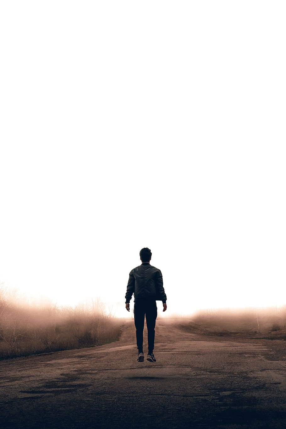 nature, grass, field, road, sunlight, people, man, alone, travel HD wallpaper