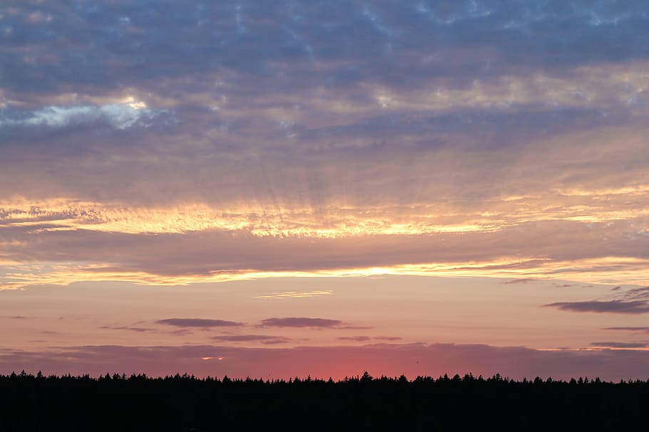 Sunset Over Black Forest Photo, Sky, Backgrounds, Trees, Seasons HD wallpaper