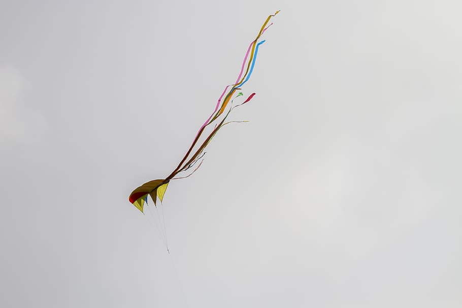 dragons, dragon fly, sky, flight, flying, aircraft, close-up HD wallpaper