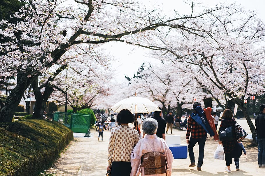 people gathered under trees, human, person, plant, apparel, clothing HD wallpaper