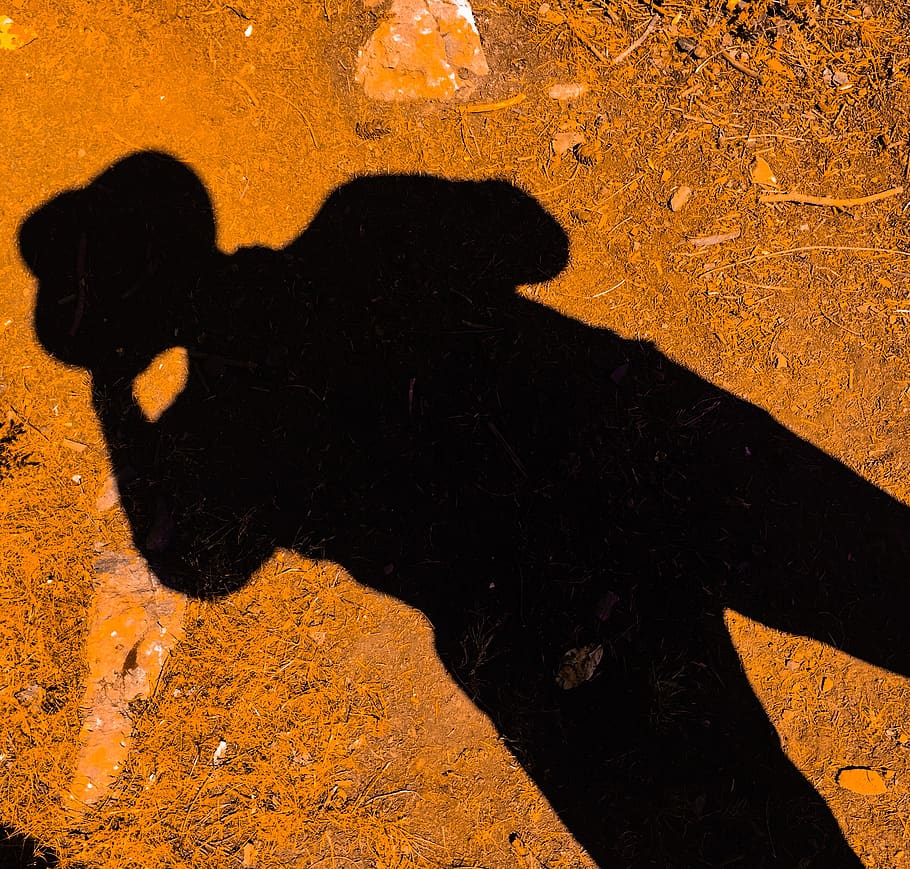 shadow, portrait, high angle view, sunlight, no people, nature HD wallpaper