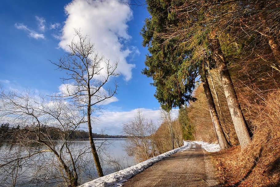 lech, river, winter, away, tree, landscape, snow, bavaria, nature, HD wallpaper